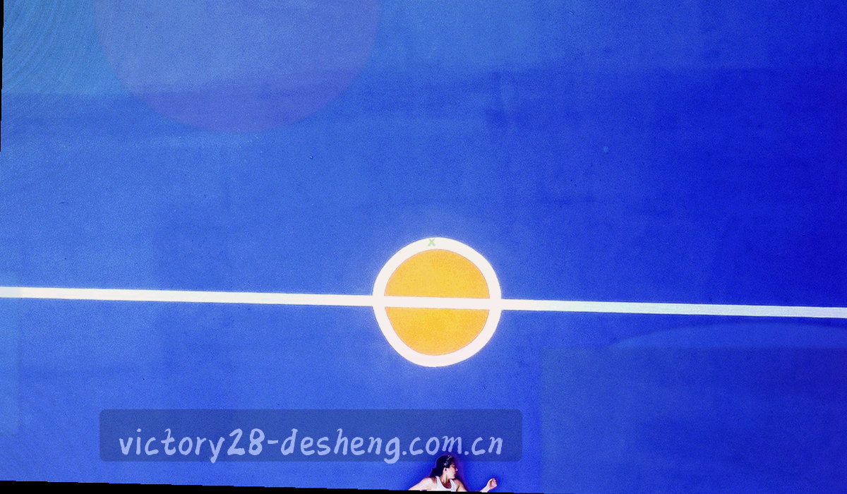 得胜28 V3 标准版、专业版、团队版三档界面并排对照的画面